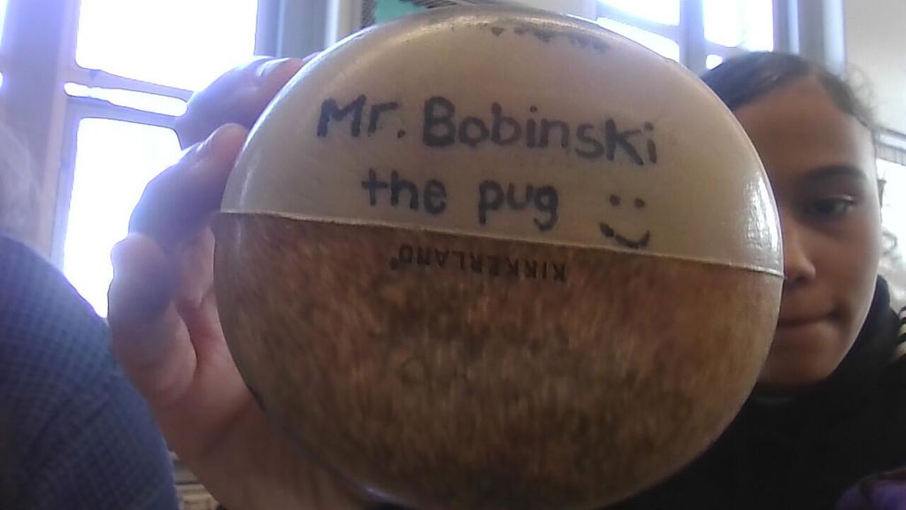 Kikkerland Home Feeling Ruff Stressball Hund