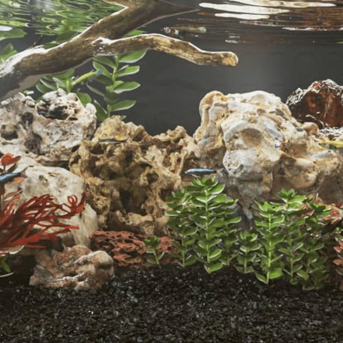 vidaXL Drachensteine 5-30 cm Aquariumsteine Braun 25 kg