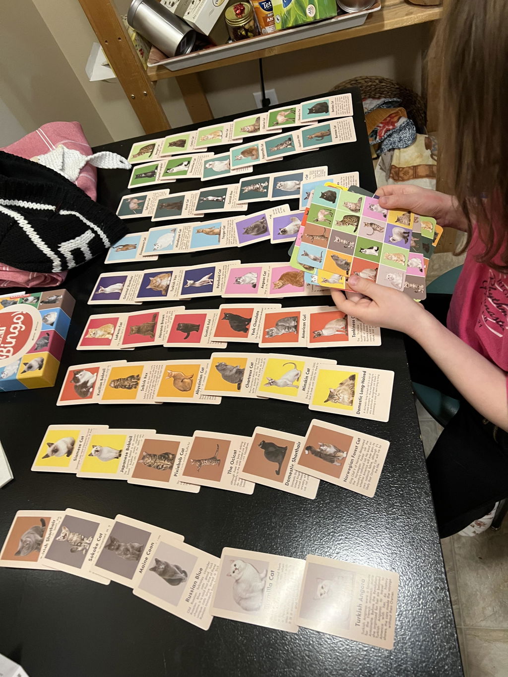 Kikkerland Play Cat Bingo Katzen Bingo Lernspiel 54 Rassen