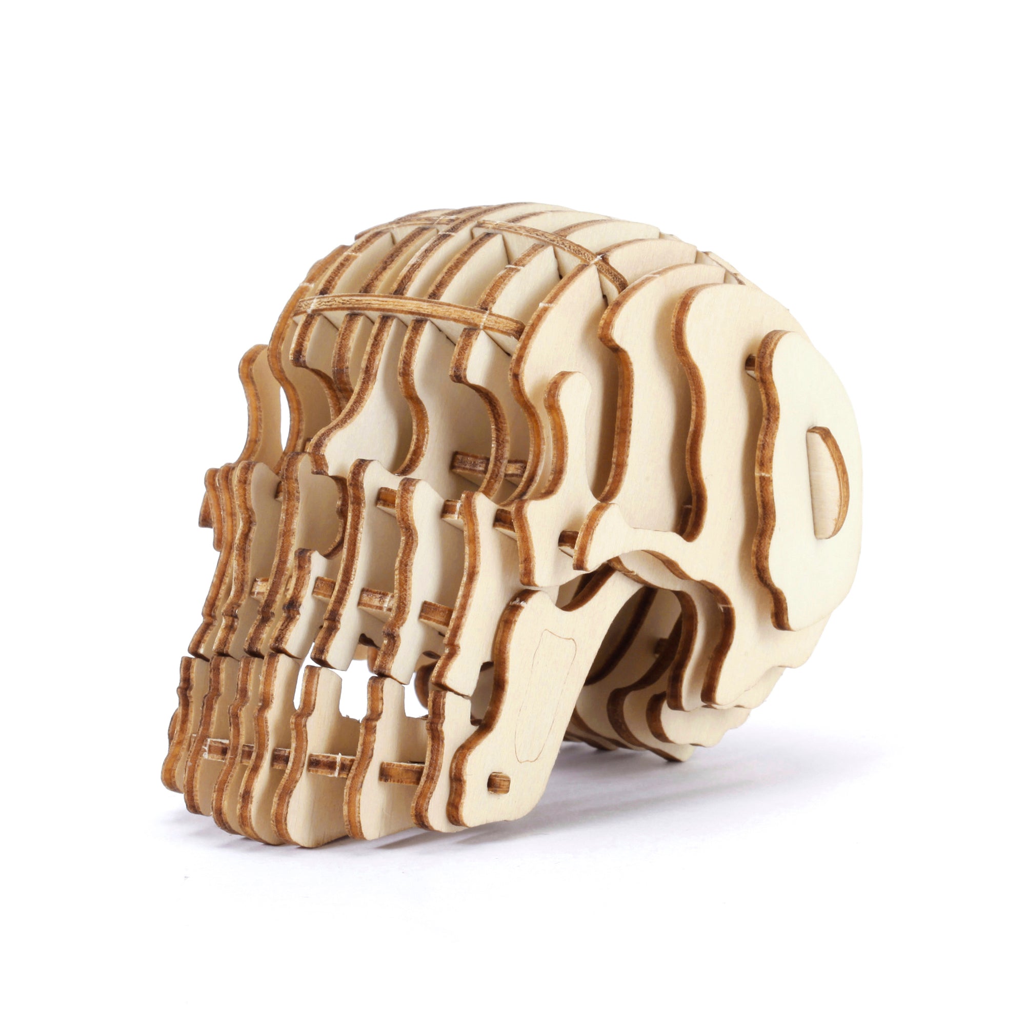 Kikkerland Skull 3D Holz Puzzle Totenkopf Modell