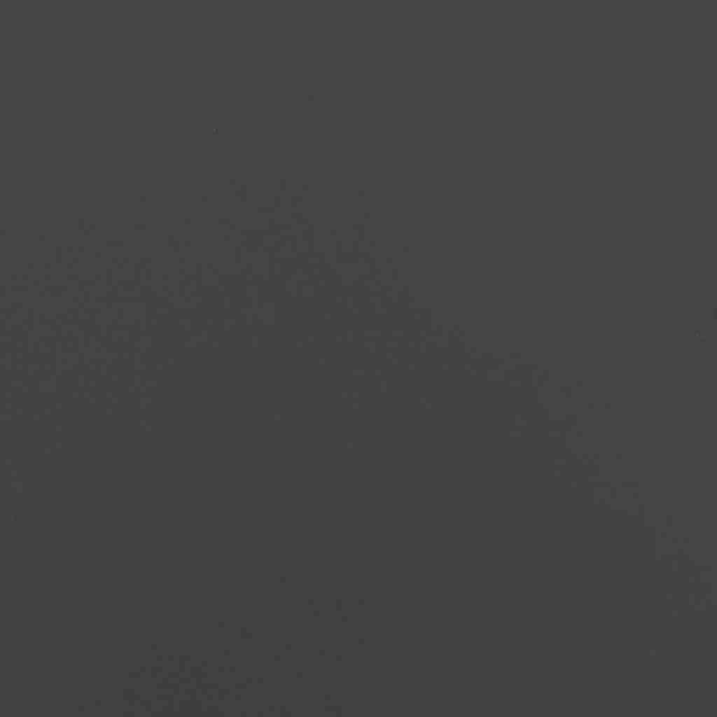 vidaXL Rasenkanten 10 Stk. Schwarz 15x103 cm Stahl Beet