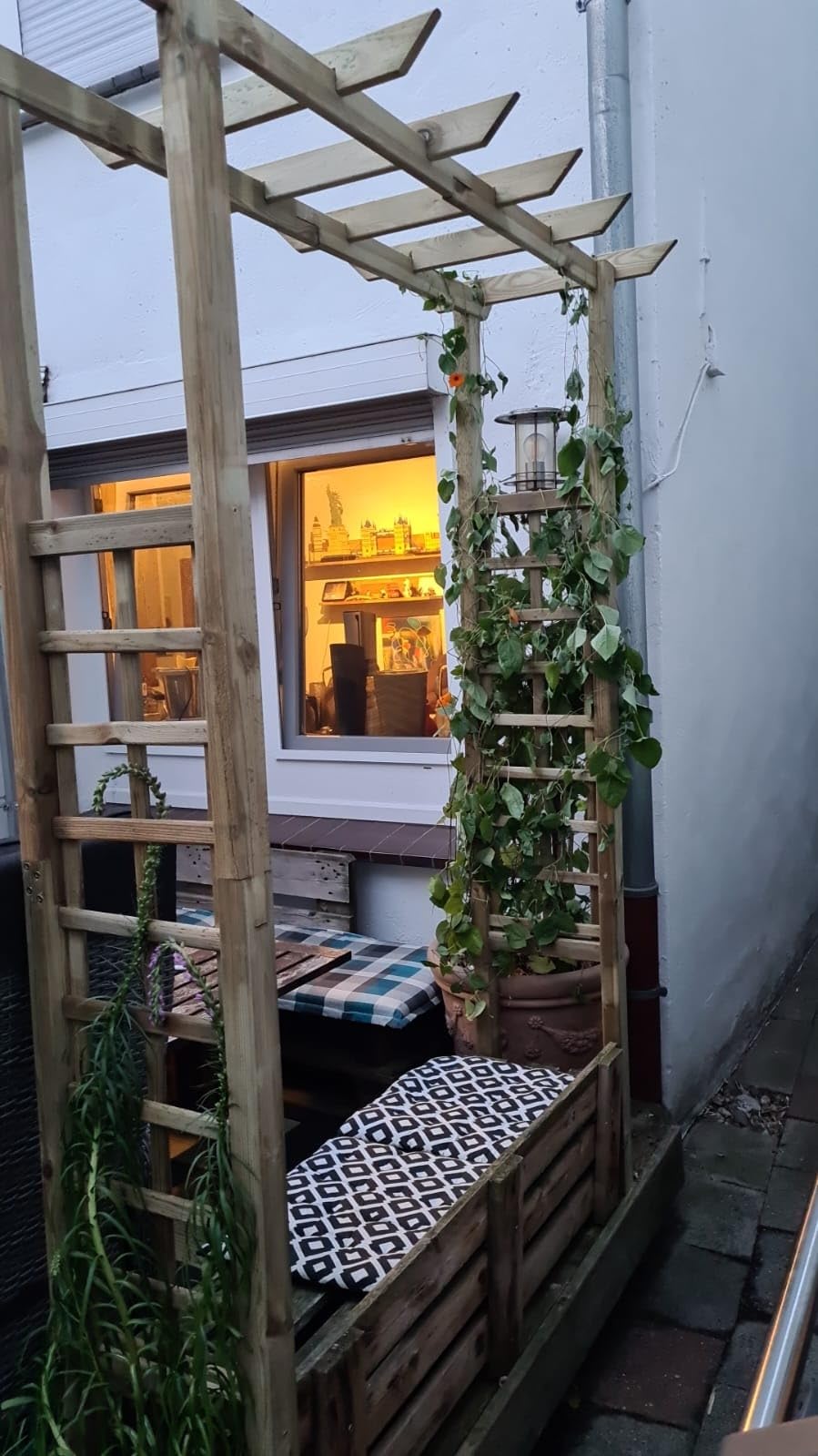 vidaXL Rosenbogen Holz 150x60x204 cm imprägniert