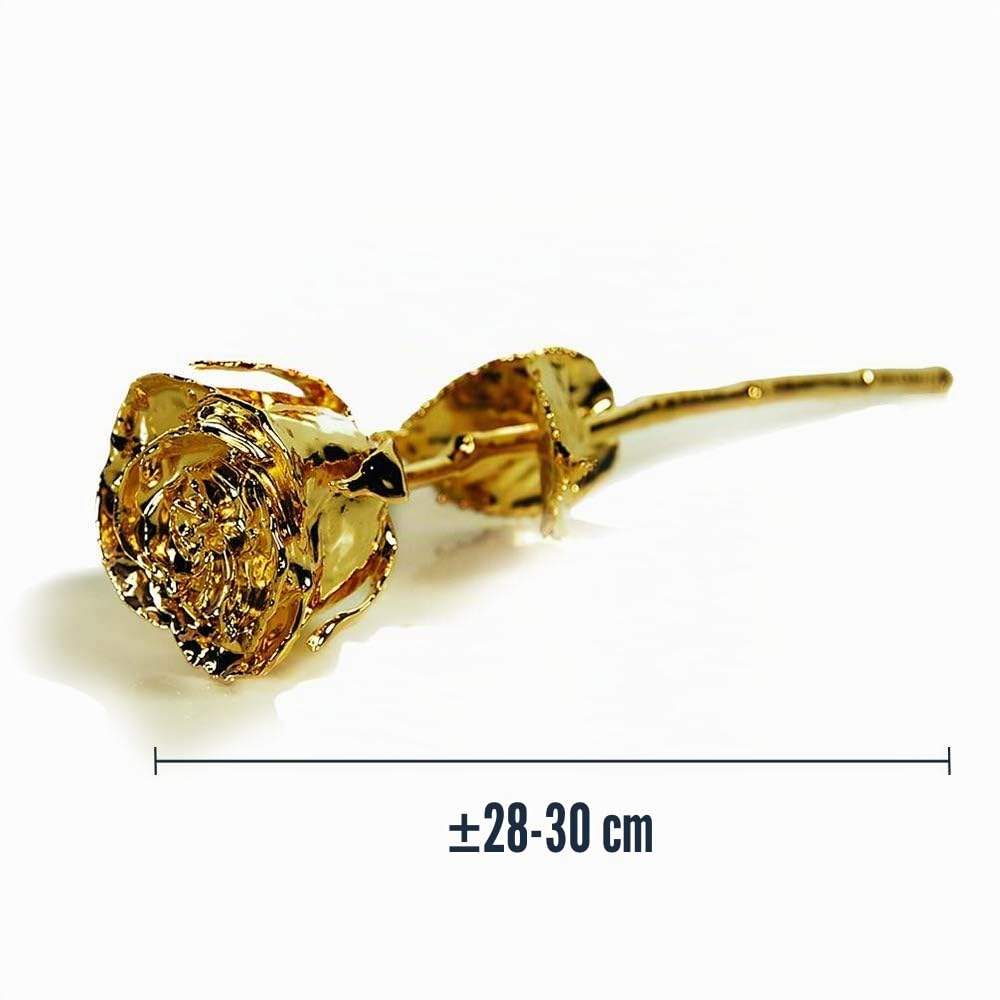 Mikamax Goldene Rose 24K Geschenk 30cm mit Box