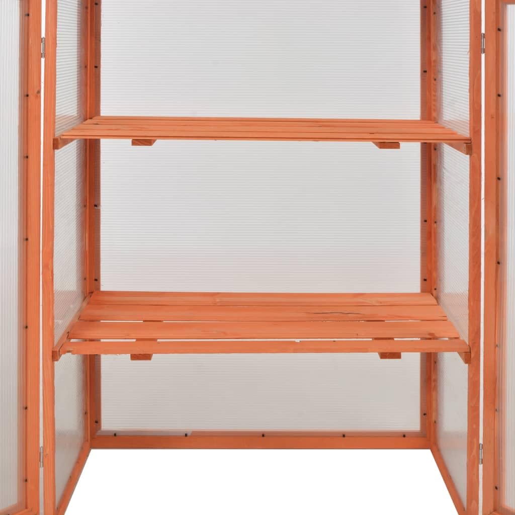 vidaXL Gewächshaus-Schrank Holz 75x47x109 cm 2 Böden