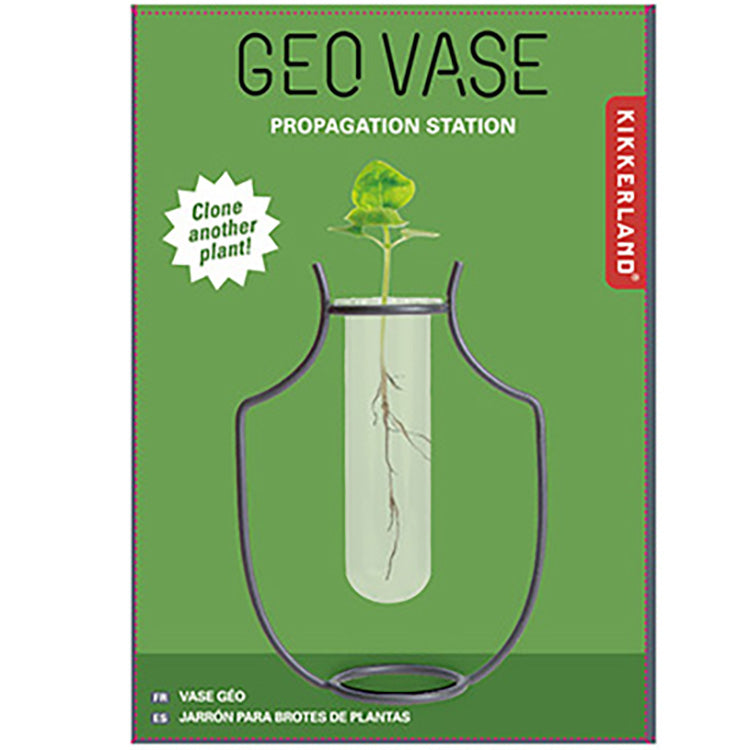 Kikkerland Home Geo Vase Vermehrungsstation Glas Holz