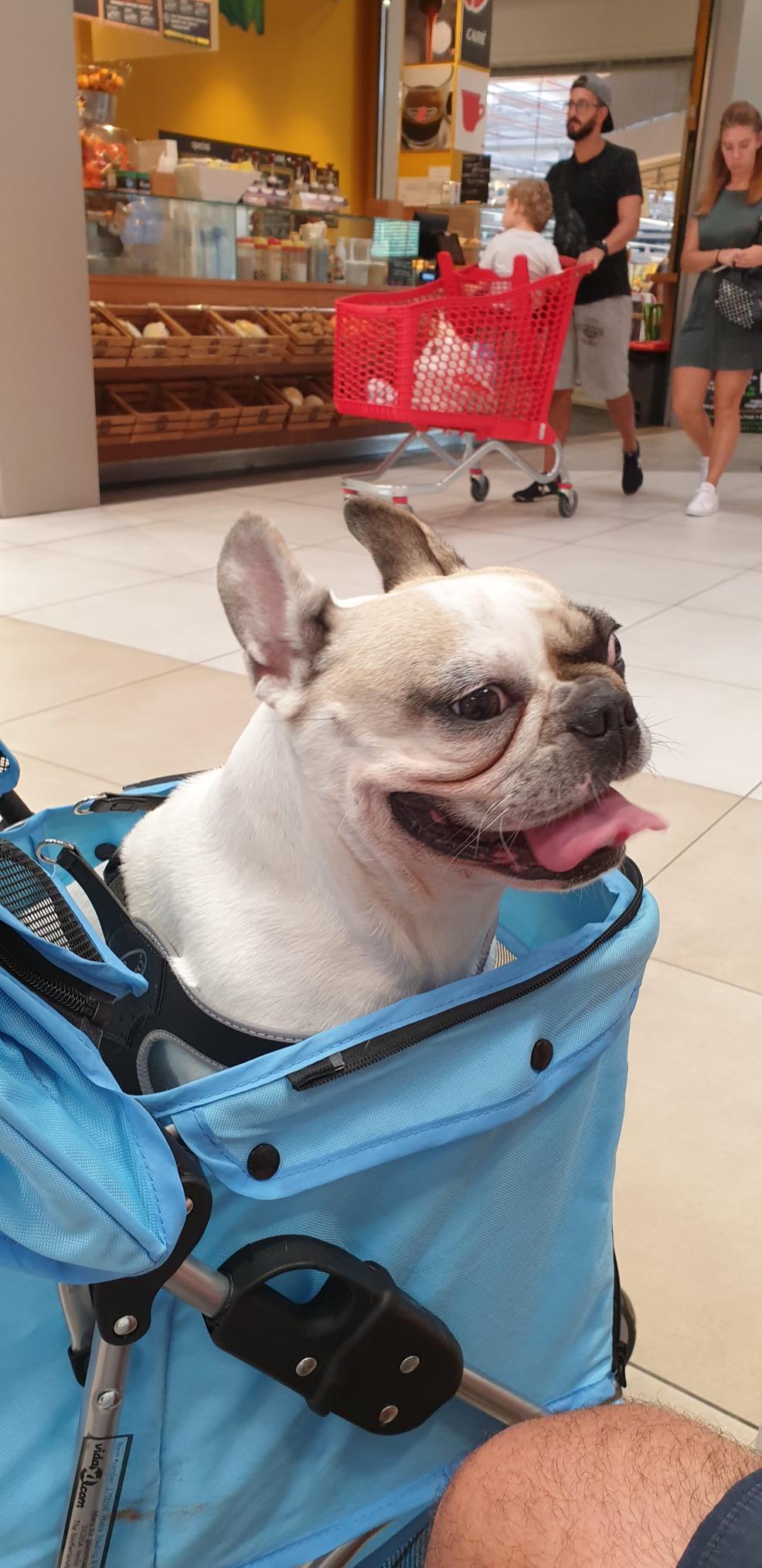 vidaXL Hundewagen Hundebuggy Buggy Rot faltbar
