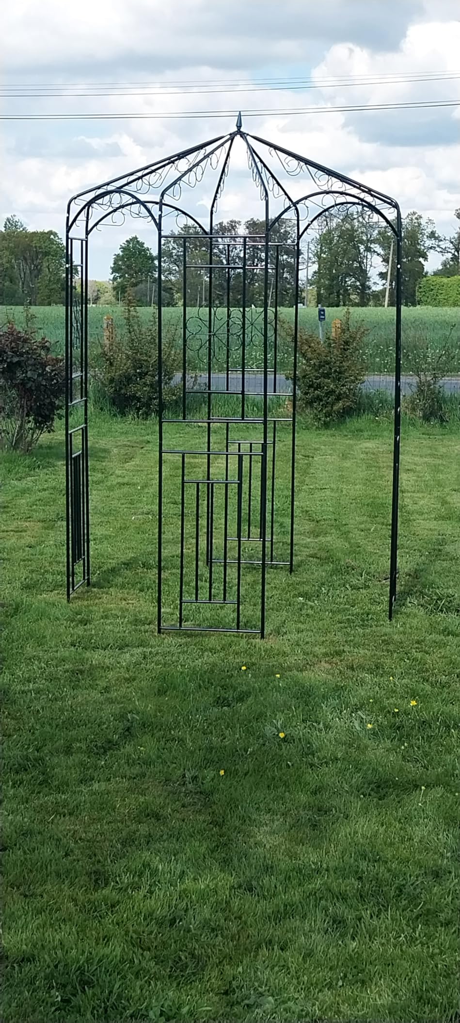 vidaXL Rosenpavillon 250 cm Schmiedeeisen dunkelgrün Rankhilfe