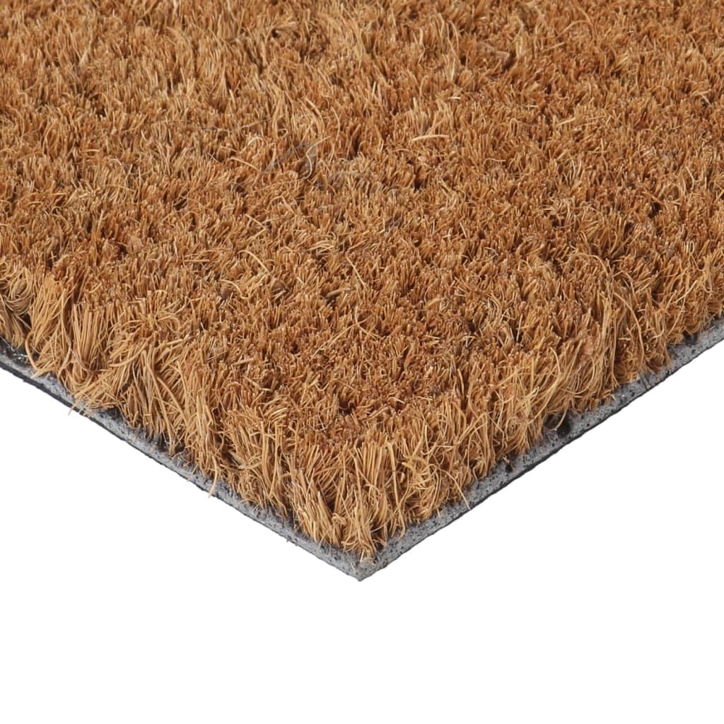 vidaXL Fußmatte Natur 45x75 cm Kokosfaser Matte