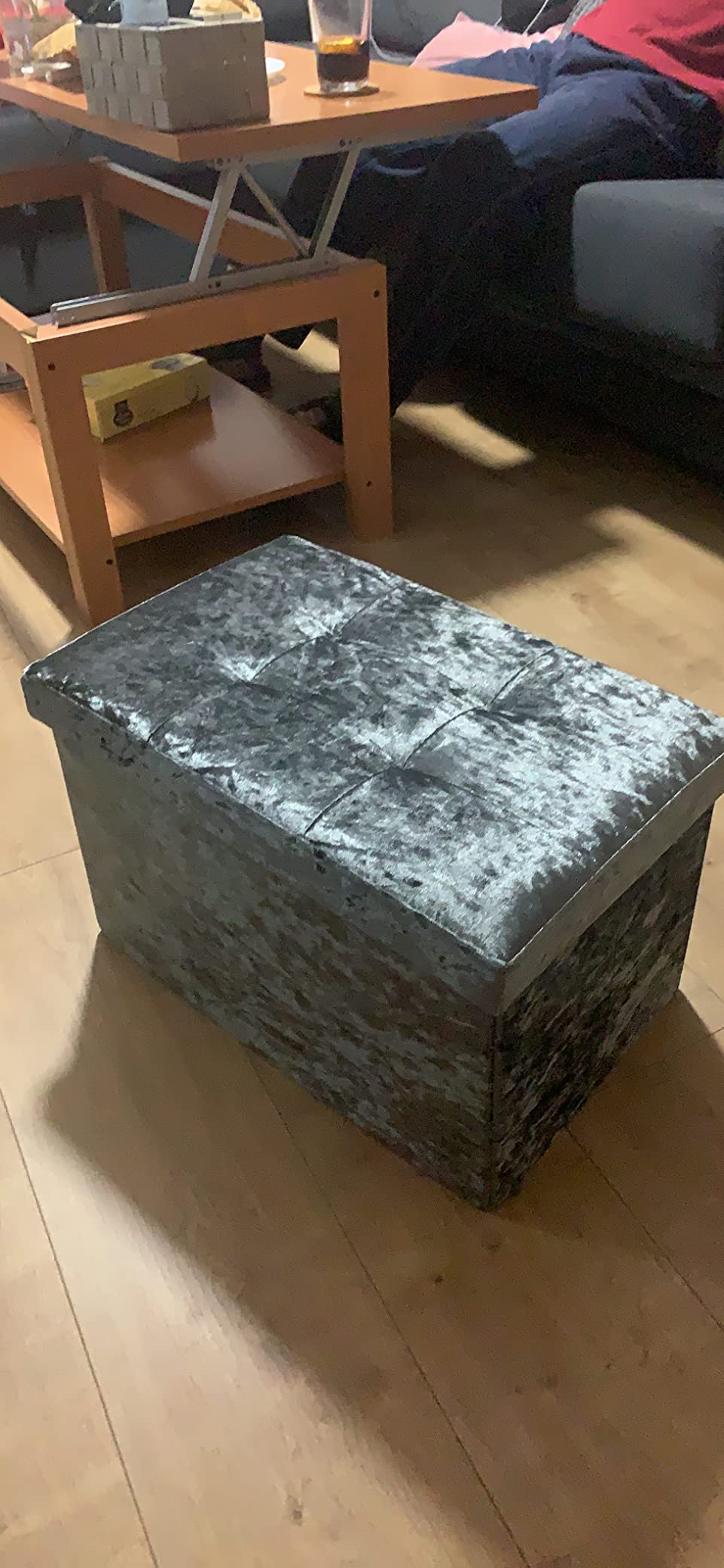 Intirilife Sitzbank 49x30x30 Hocker Samt Grau mit Stauraum