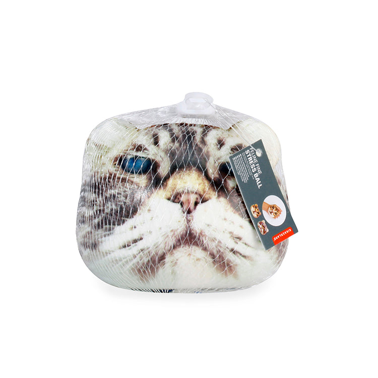 Kikkerland Home Feline Fine Stressball Katze Anti-Stress