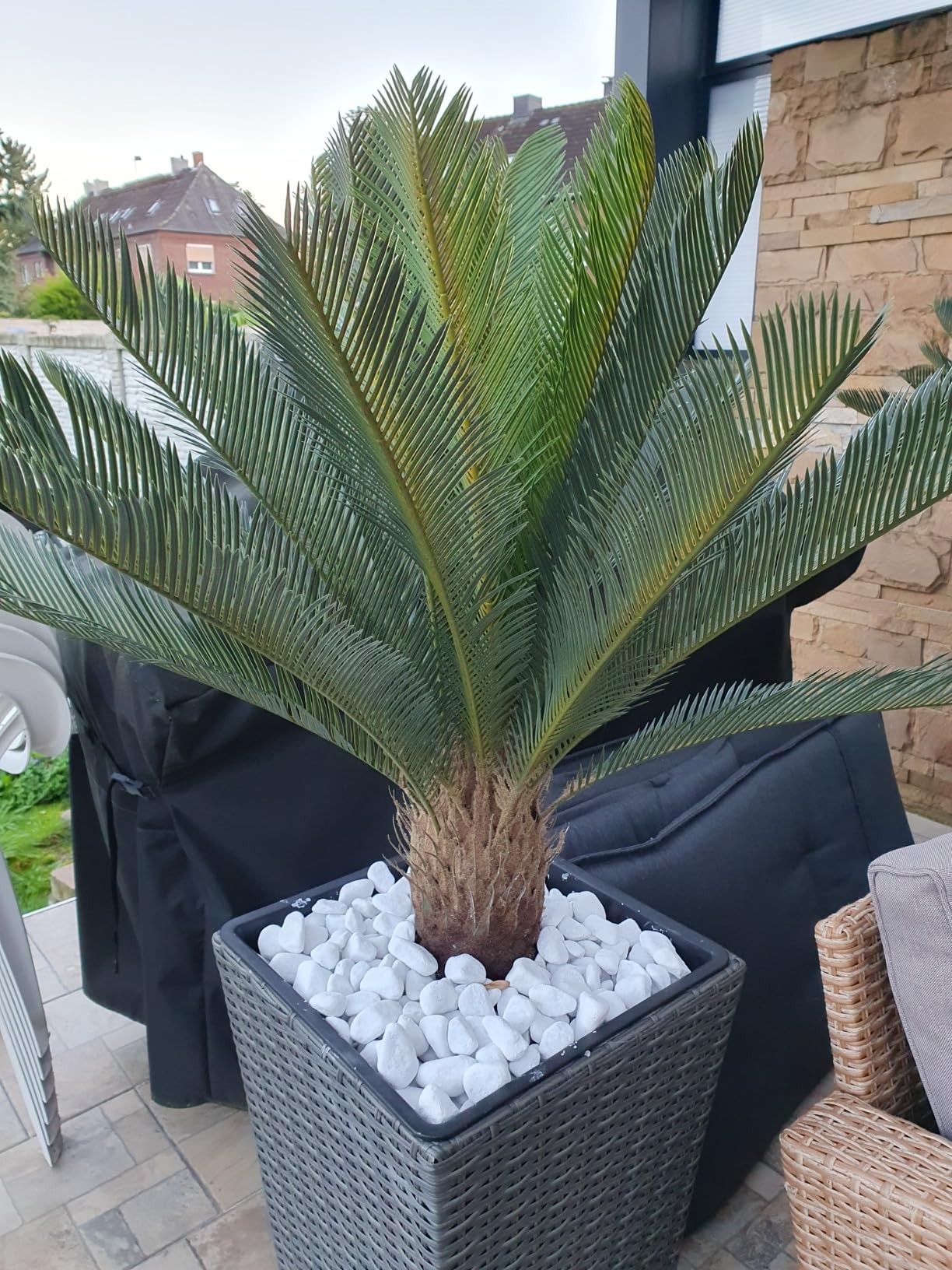 vidaXL Cycas-Palme Kunstpflanze Grün 90 cm mit Topf