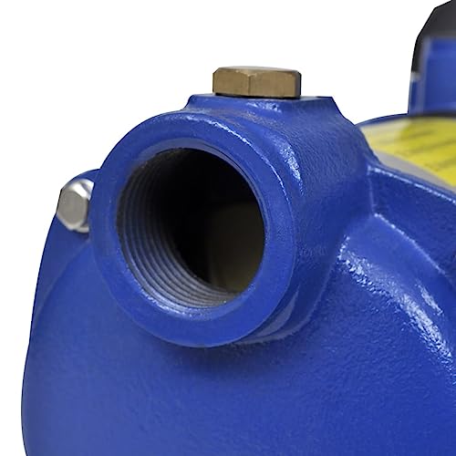 vidaXL Strahlpumpe 1300W 5100L/h Blau Gartenpumpe Stahl