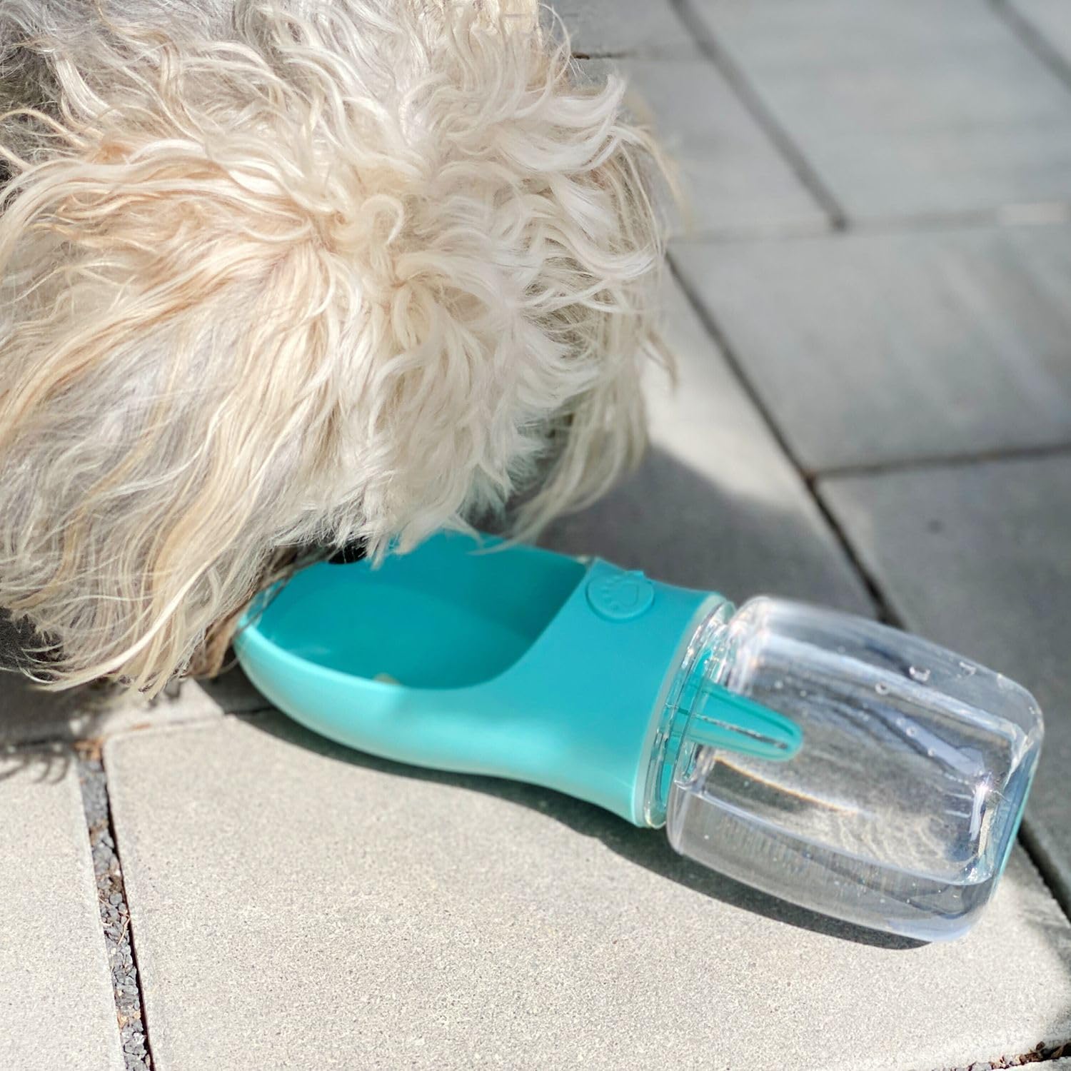 Intirilife Hunde Trinkflasche blau 300 ml auslaufsicher Kunststoff