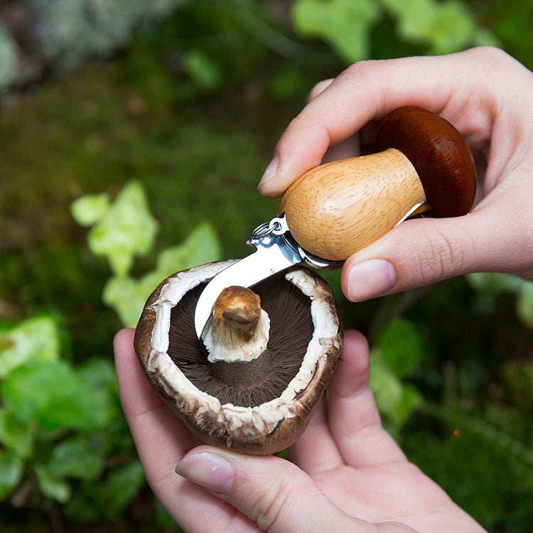 Kikkerland Tools & Wellness Mushroom Tool Pilzmesser mit Bürste