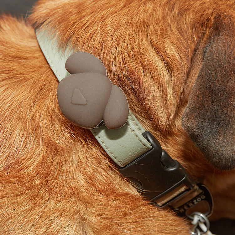 Kikkerland Home Kobe-Tag AirTag Hülle Halsband Hund