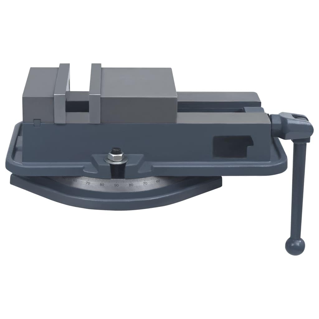 vidaXL Drehtisch Schraubstock 160mm Gusseisen drehbar