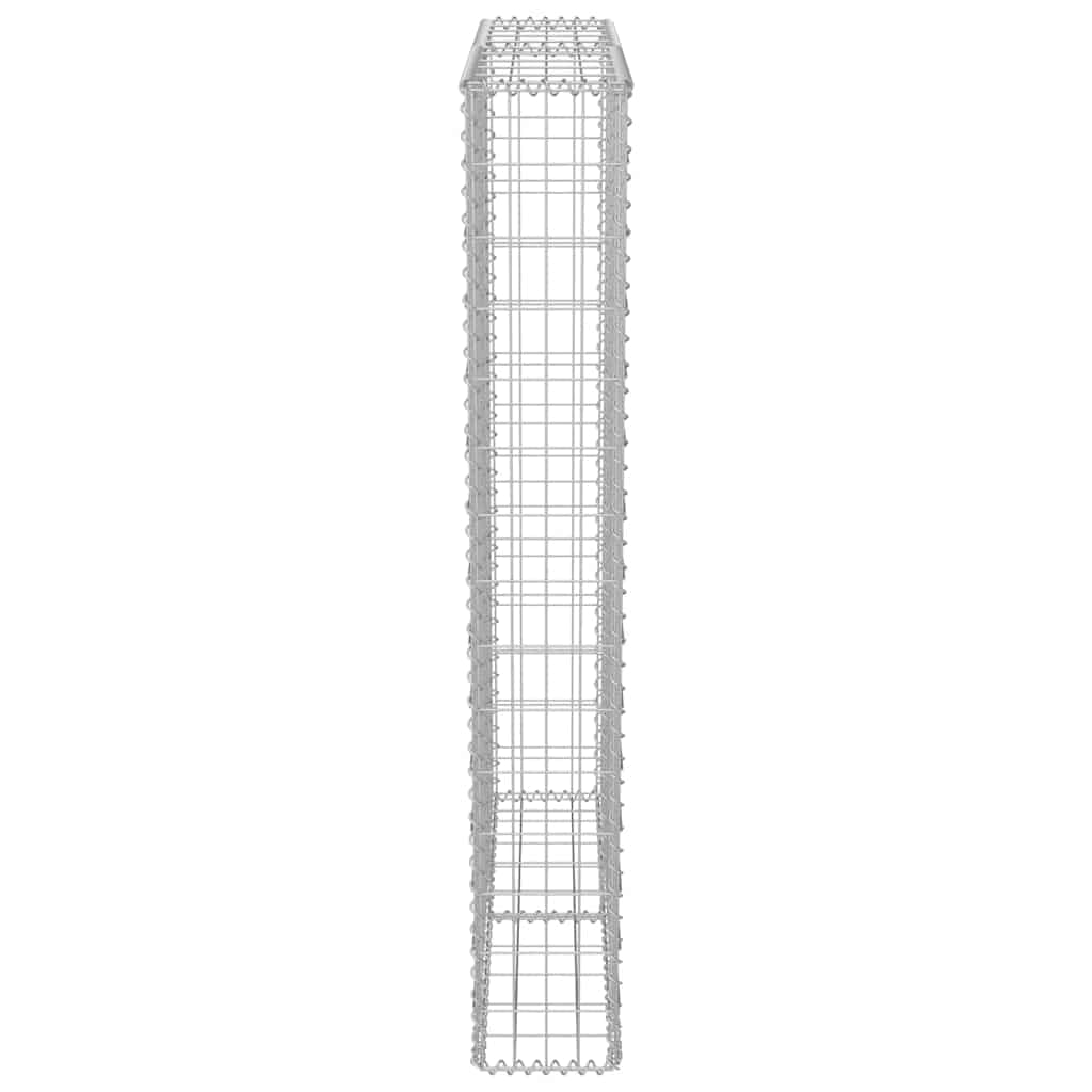 vidaXL Heim & Garten Gabionenwand Stahl 100x20x150 cm verzinkt