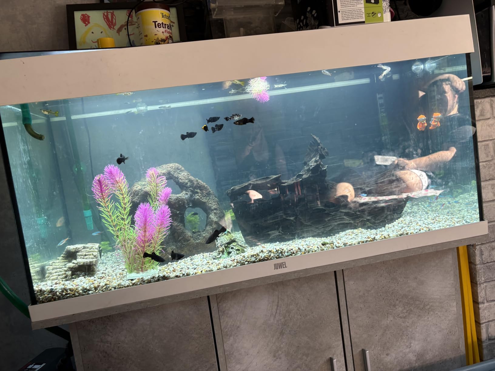 vidaXL Tierbedarf Aquariumständer Altholz 81x36x73 cm