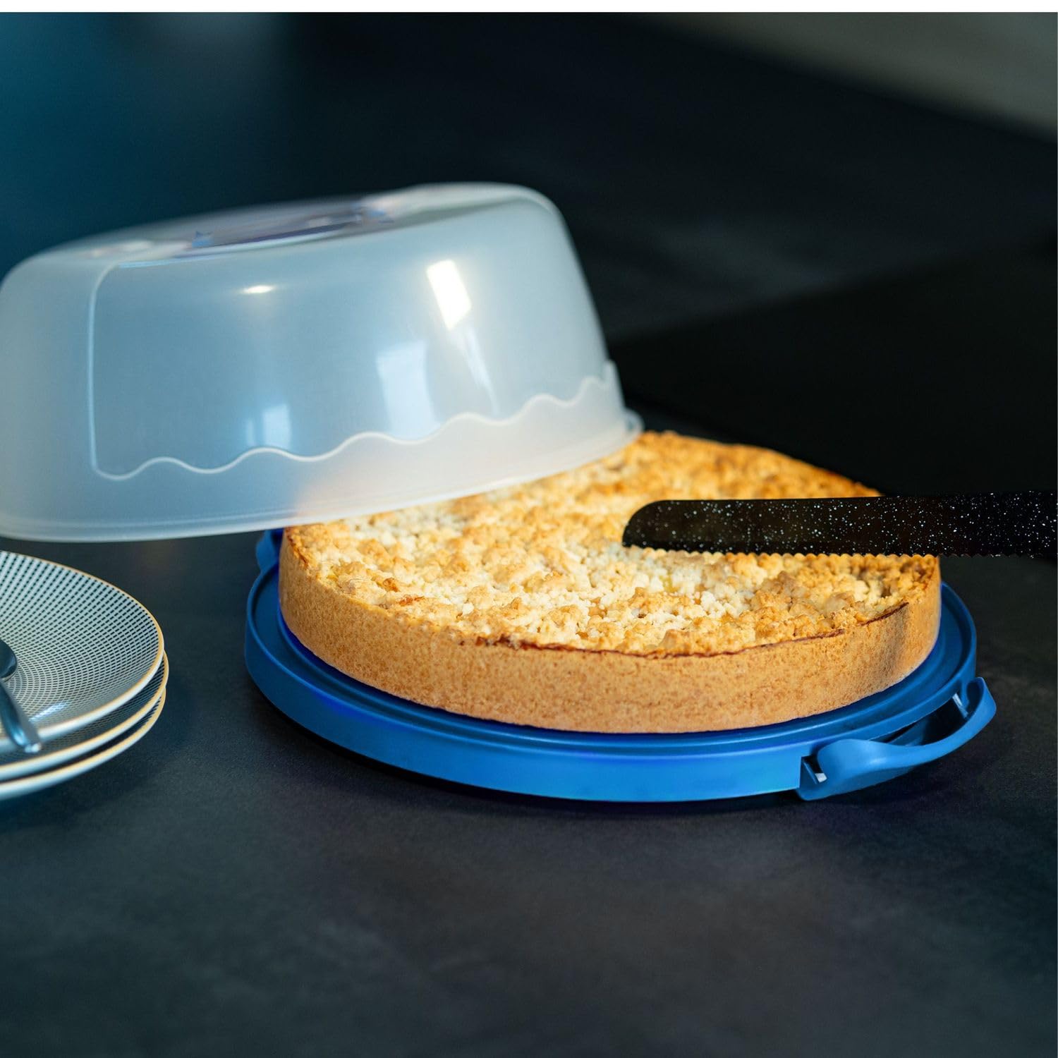 Intirilife Kuchenbox Rund Blau Kunststoff 29,8 cm mit Griff