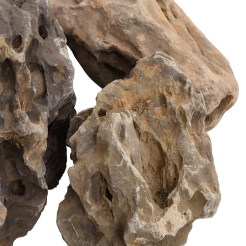 vidaXL Drachensteine 10-40 cm Aquariumsteine Grau 10 kg