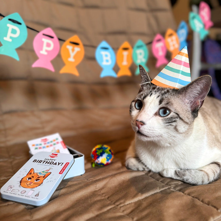 Kikkerland Kiko Katzen Geburtstagsset Partyhut Girlande