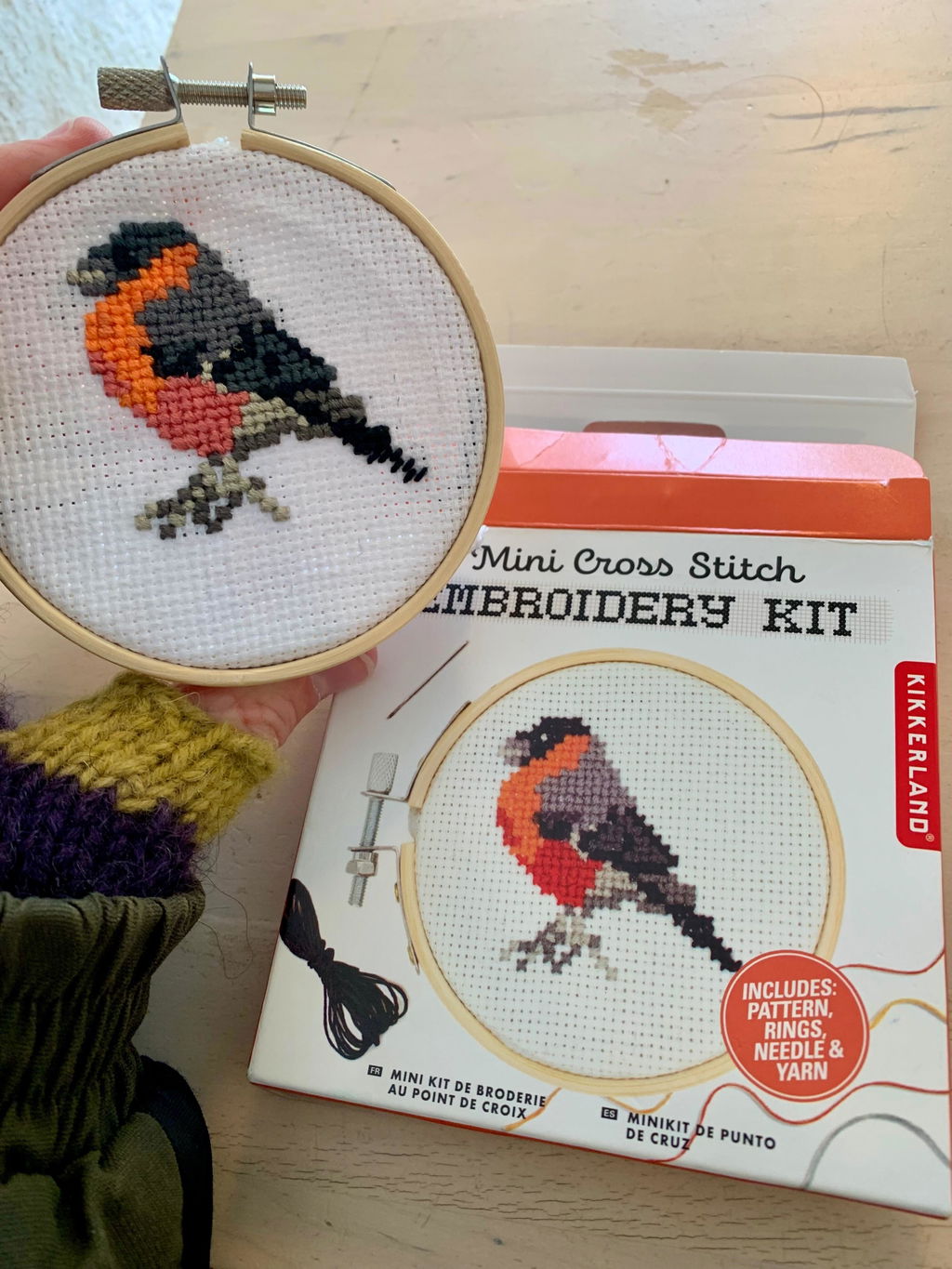 Kikkerland Crafters Bird Mini Kreuzstich Stickset mit Rahmen