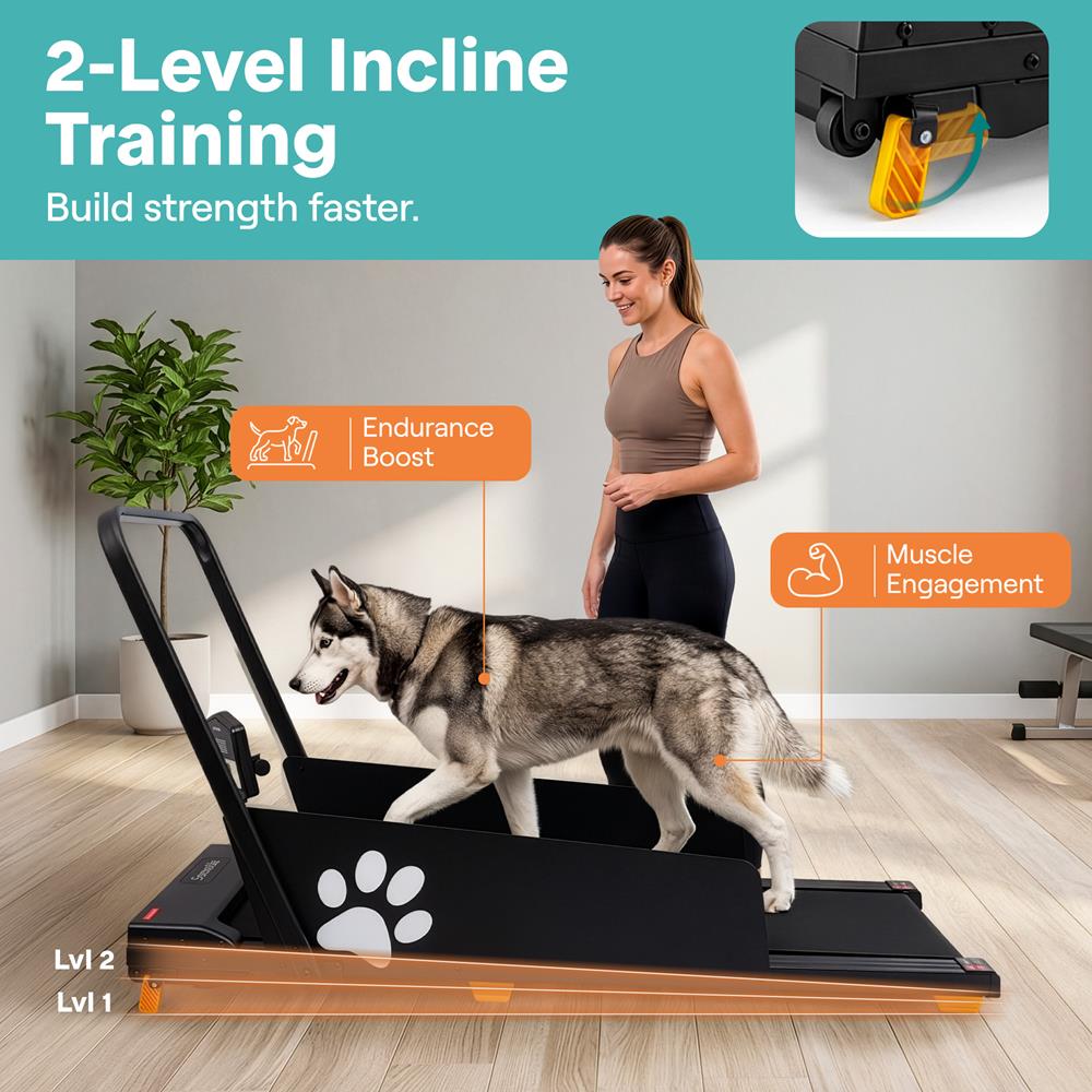 Serenelife Pet Care Hundelaufband klappbar 2,5 PS mit Display