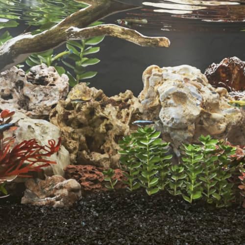 vidaXL Drachensteine 10-40 cm Aquariumsteine Grau 10 kg