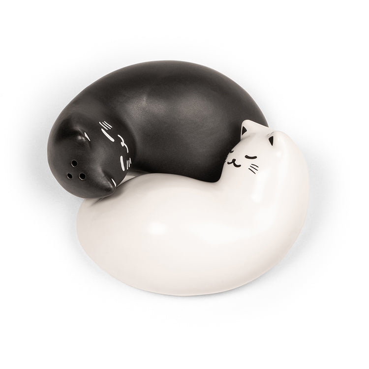 Kikkerland Kitchen Purrfect Salz- Pfefferstreuer Katzen