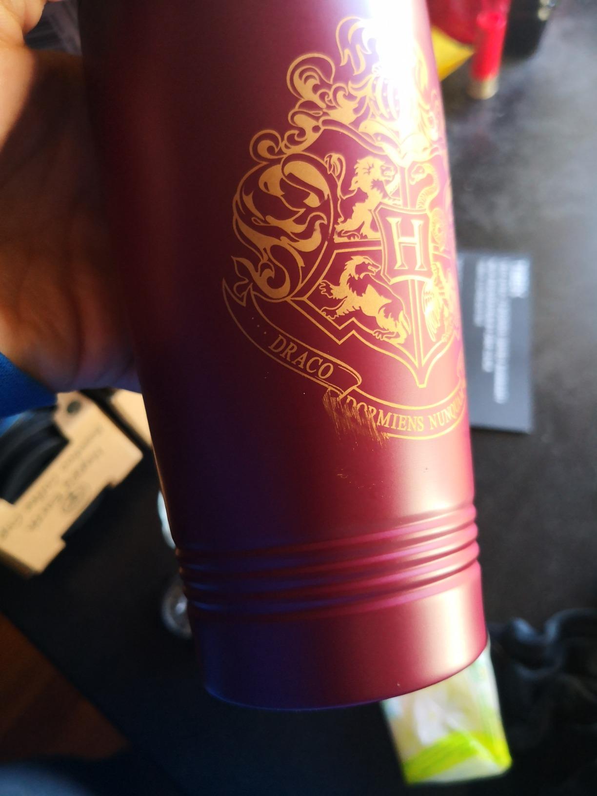 Paladone Harry Potter Reisebecher Edelstahl 450 ml