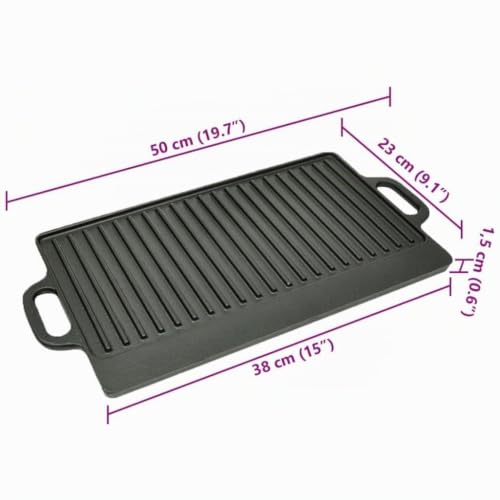 vidaXL Heim & Garten Grillplatte Gusseisen 50x23 cm