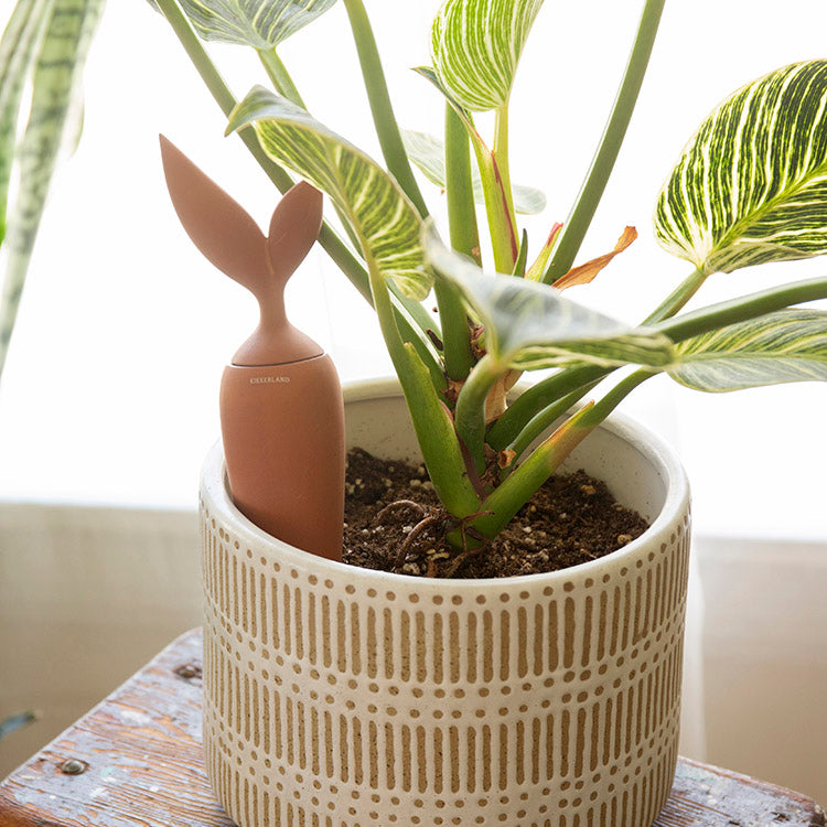 Kikkerland Bewässerungskegel Terracotta Watering Stake Flasche
