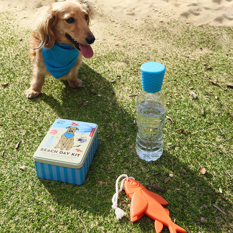 Kikkerland Kobe Beach Day Kit Hund Strand Set 3-teilig