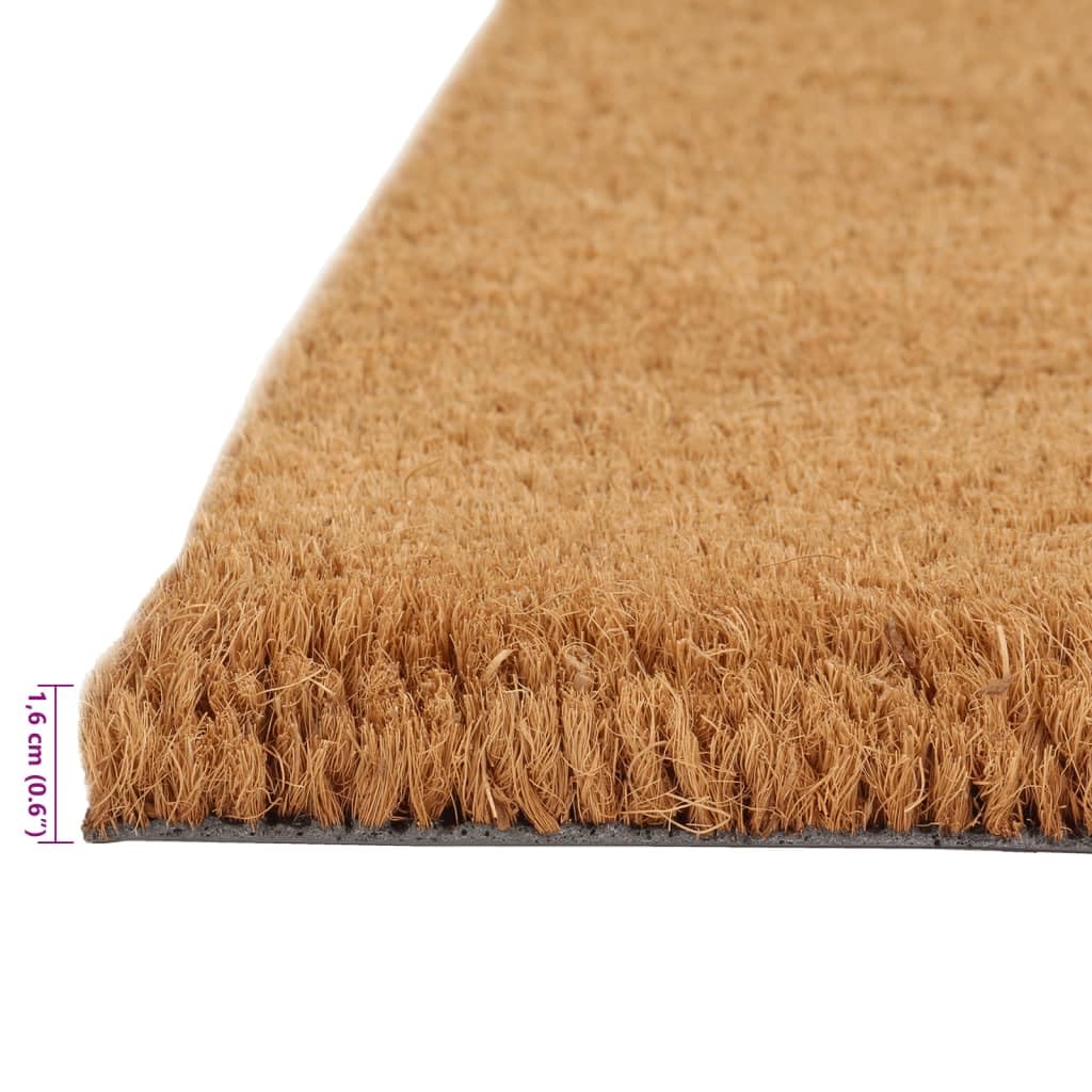 vidaXL Heim & Garten Fußmatten 2 STK Natur 40x60 Kokos