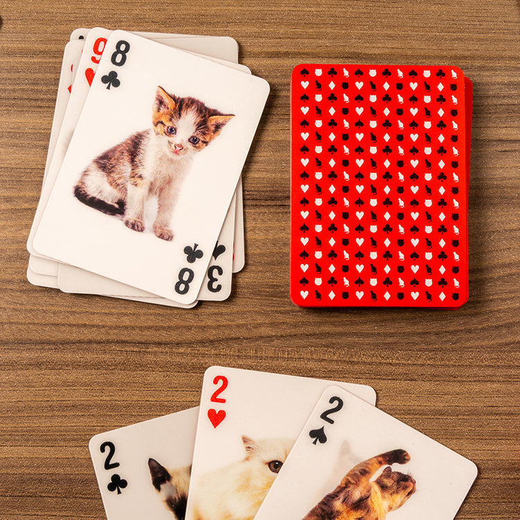 Kikkerland Play Cat 3D Spielkarten Katzen Poker