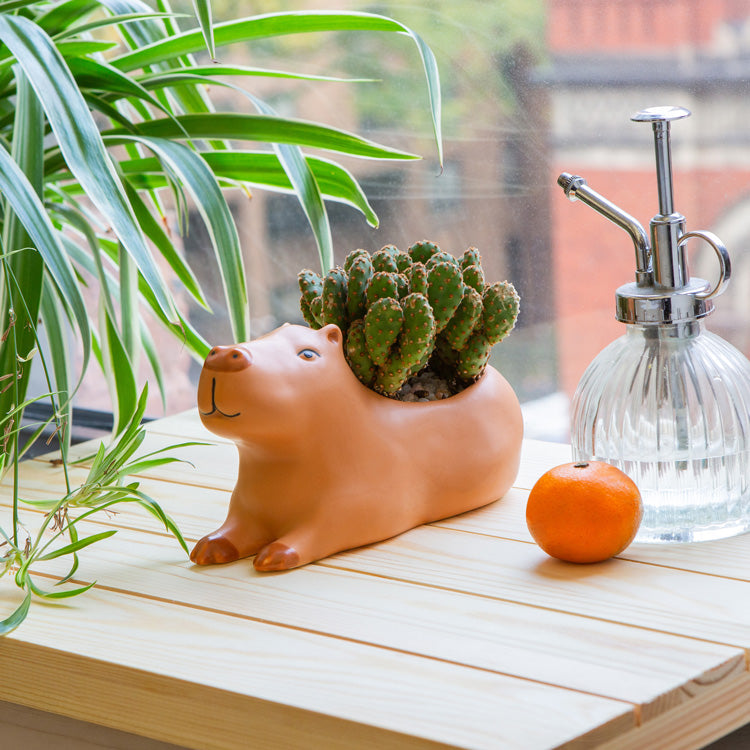 Kikkerland Home Blumentopf Capybara groß Cappy Pflanze