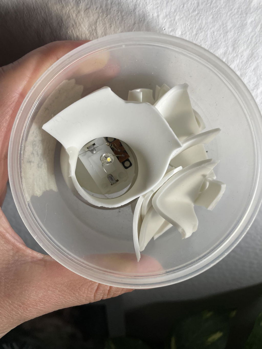 Kikkerland Home Mini Mushroom Light Pilzleuchte Porzellan Weiß