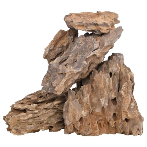 vidaXL Drachensteine Mehrfarbig 10-30 cm Aquarium Deko 25 kg
