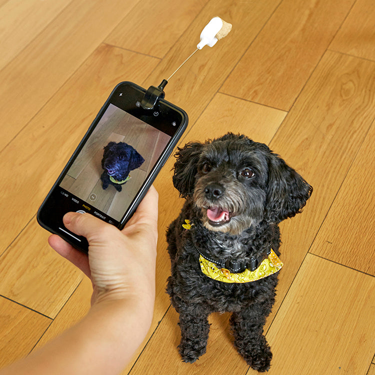 Kikkerland Kobe Selfie Clip Hunde Leckerli Handy