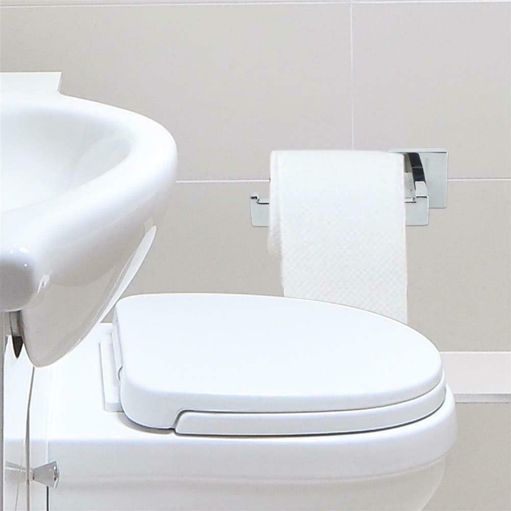 Intirilife Toilettenpapierhalter Silber Edelstahl zum Bohren