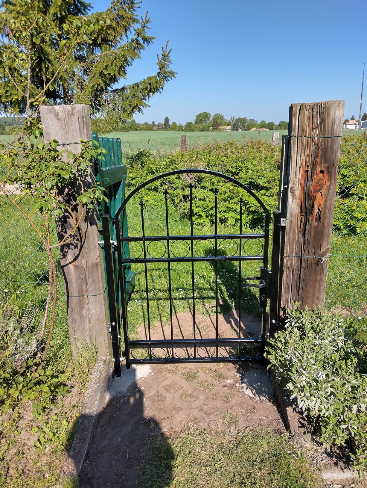 vidaXL Heim & Garten Gartentor ASSEN 102x150 cm Stahl Schwarz
