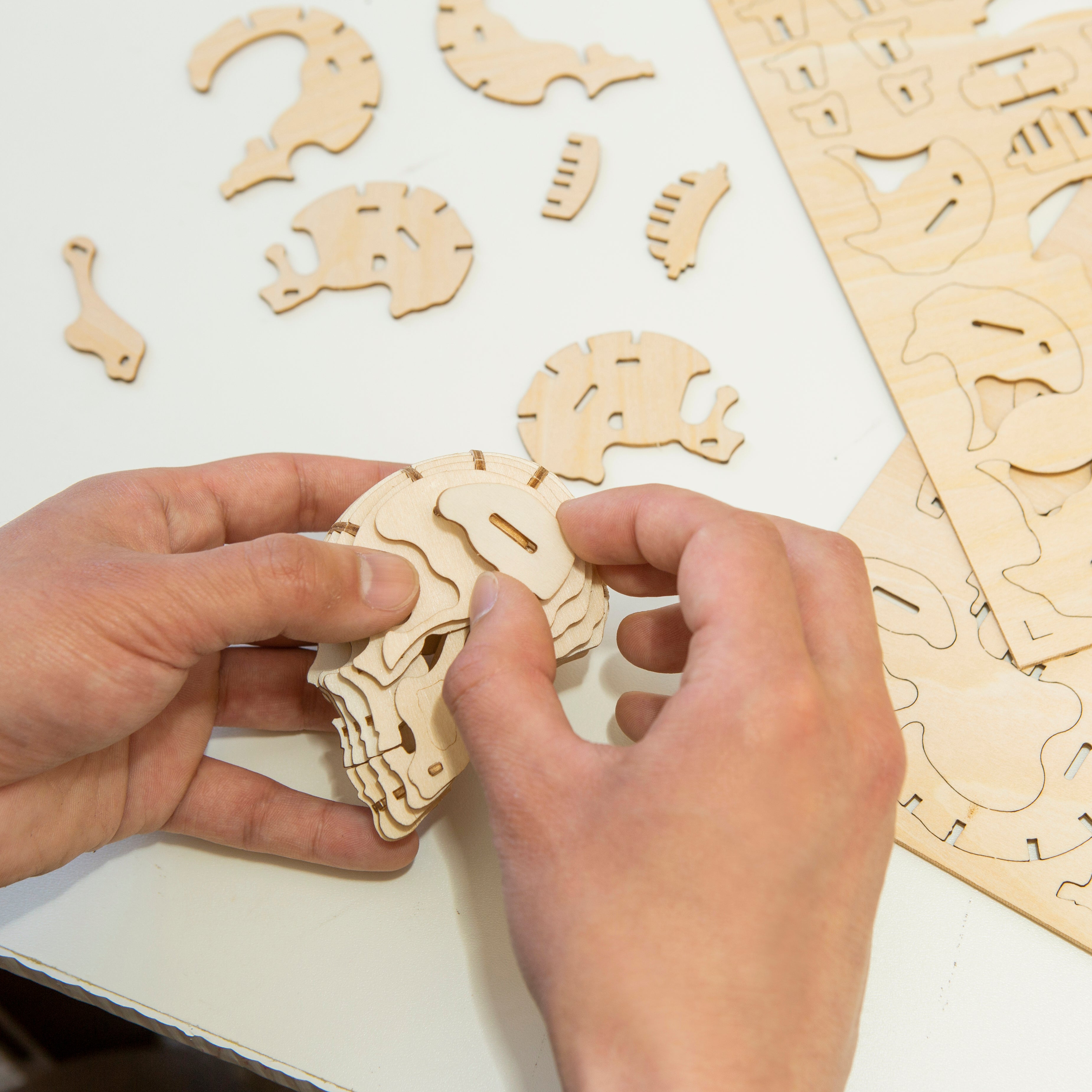 Kikkerland Skull 3D Holz Puzzle Totenkopf Modell