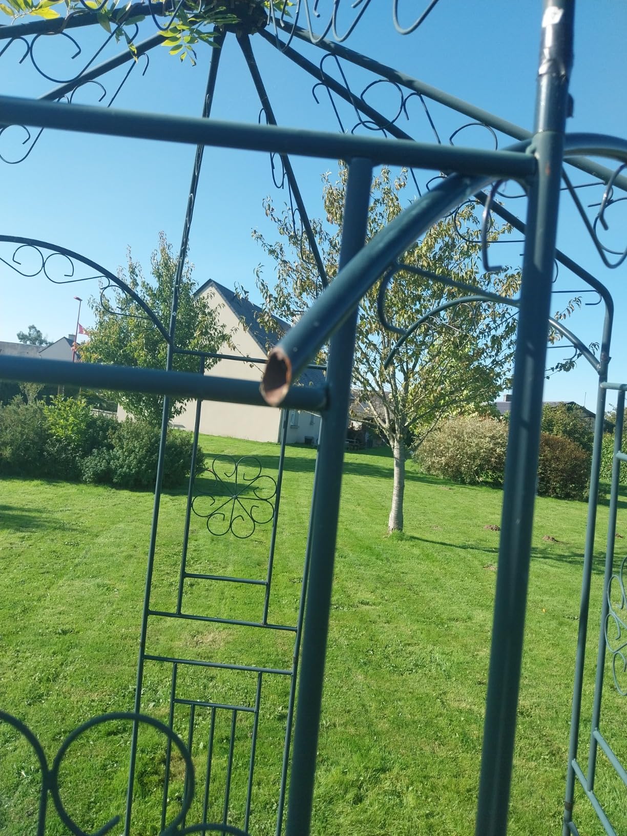 vidaXL Rosenpavillon 250 cm Schmiedeeisen dunkelgrün Rankhilfe