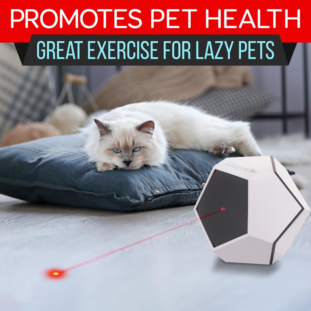 Serenelife Pet Care Katzenspielzeug Laser Automatik