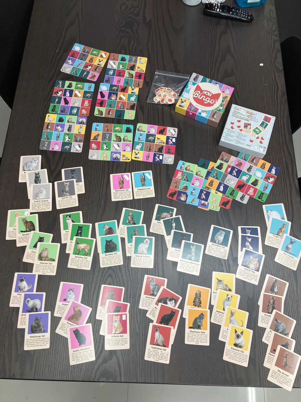 Kikkerland Play Cat Bingo Katzen Bingo Lernspiel 54 Rassen