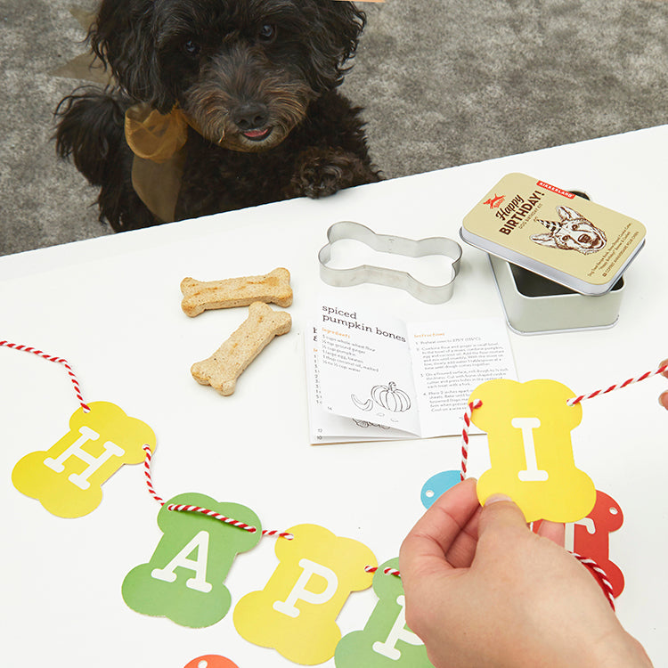 Kikkerland Home Kobe Dog Birthday Kit Hundegeburtstag