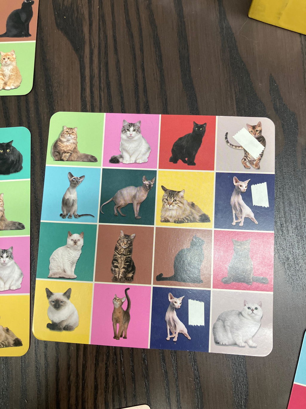 Kikkerland Play Cat Bingo Katzen Bingo Lernspiel 54 Rassen