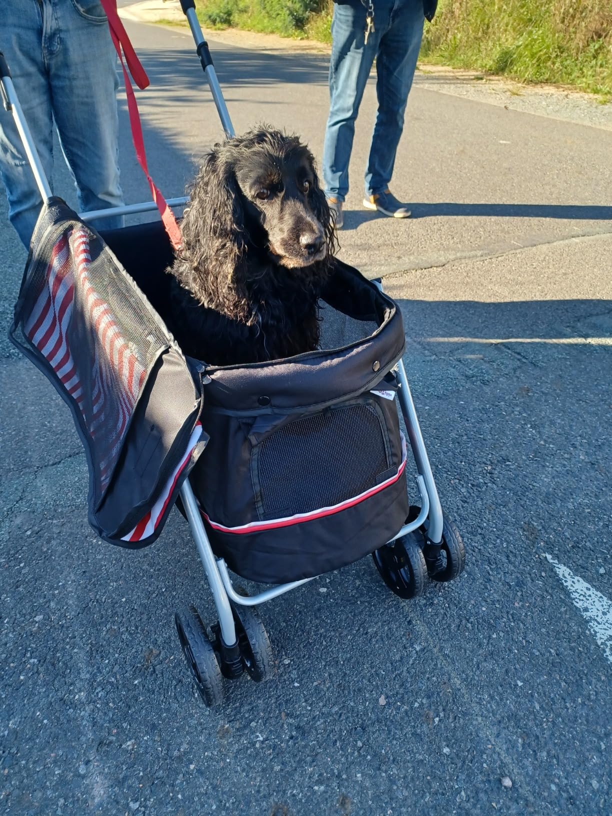 vidaXL Hundewagen faltbar schwarz 100x49x96 cm Leinenstoff