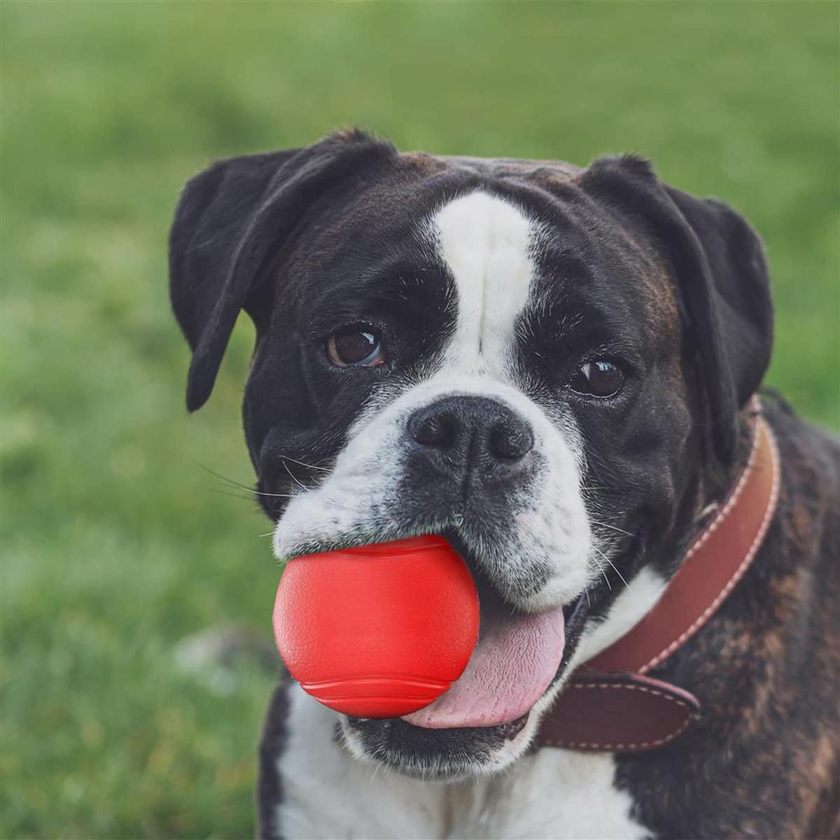 Intirilife Hunde Gummiball Knall Rot 7 cm bissfest