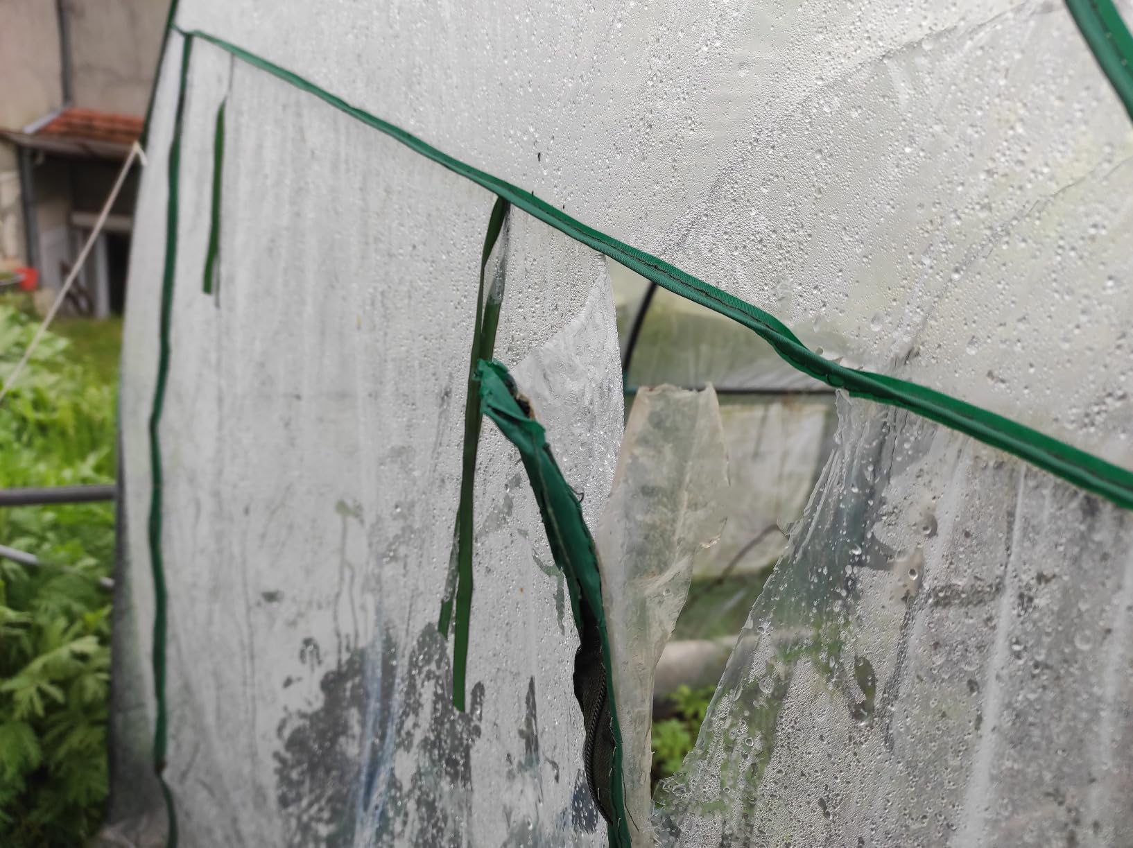 vidaXL Gewächshaus transparent 160x400x190 cm PVC Stahl Treibhaus